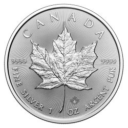 Foto der M&uuml;nze: 1 Unze Silber Maple Leaf 1 Unze Art.-Nr. SilbermuenzeMapleLeaf1Unze