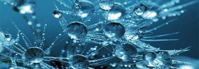 We are witnessing the mother of all bubbles - Part I
